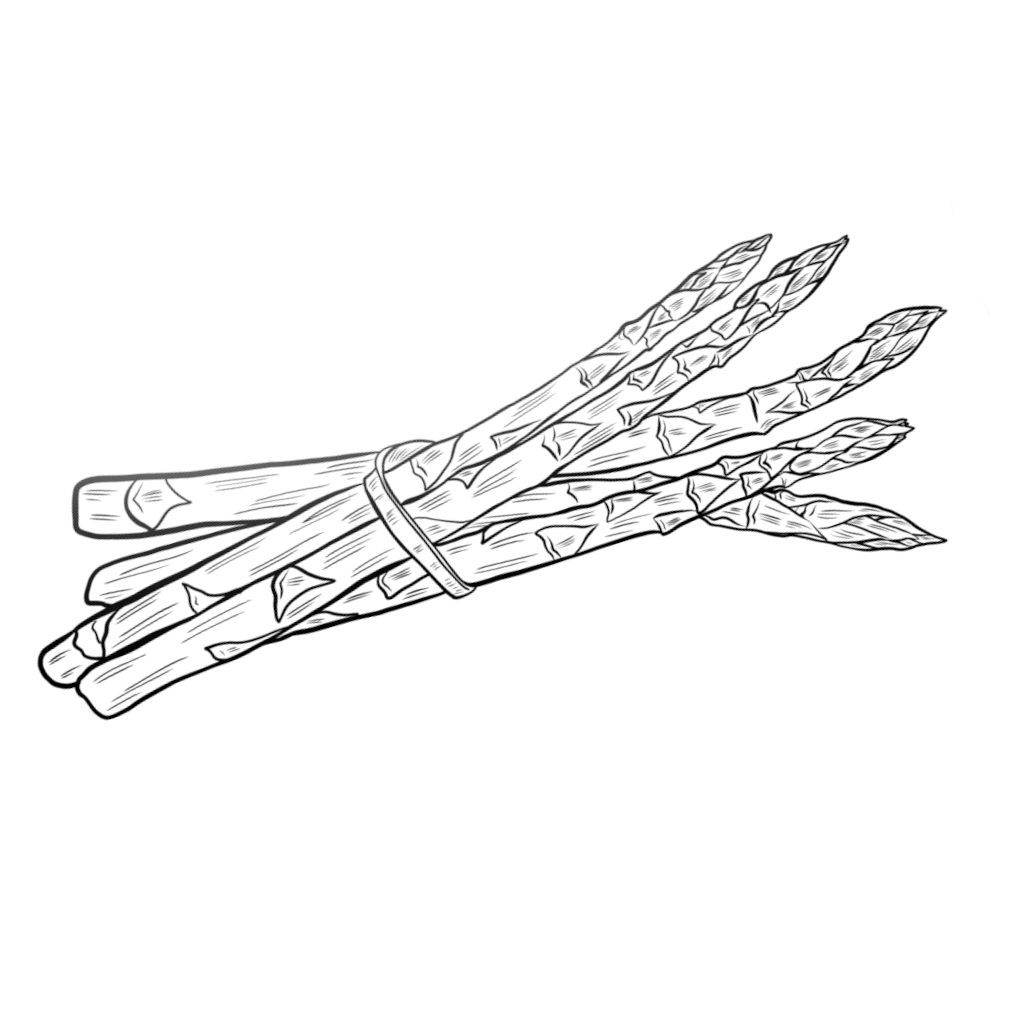 sparglji cibo tipico gorizia